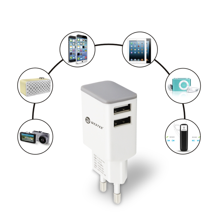 dual port travel charger